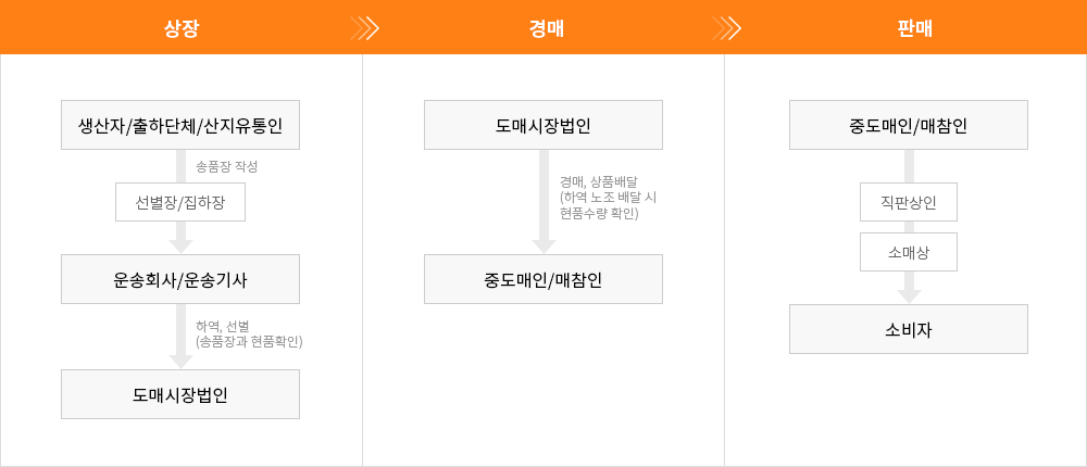 1.상장 : 생산자 출하단체 산지유통인, 선별장 집하장, 운송회사 운송기사, 도매시장법인 2.경매 : 도매시장법인, 중도매인 매참인 3.판매:중도매인 매참인, 소비자